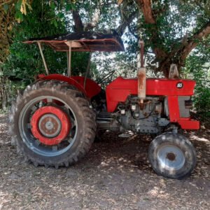 massey-ferguson-165-2