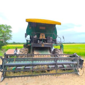 cosechadora-para-arroz-white-8400